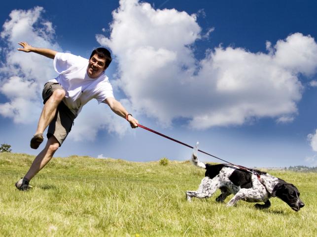 Energiczny spacer to podstawowa aktywność dla psa