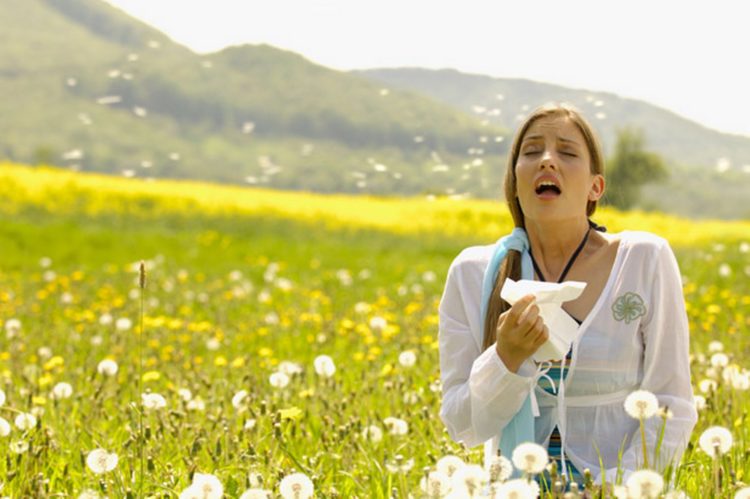 Leczenie alergii najlepiej zacząć od wykonania dokładnych testów alergologicznych, żeby wiedzieć na co jesteśmy uczuleni