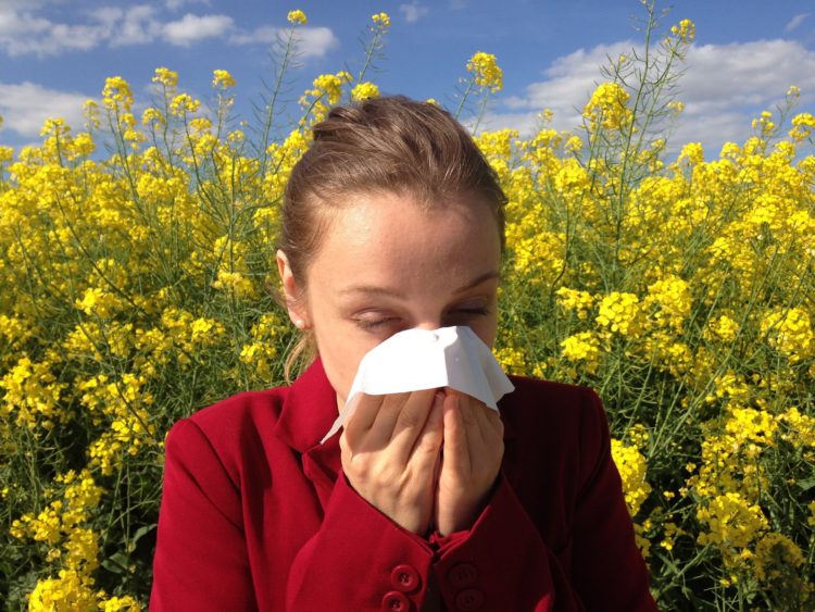 Alergia na pyłki potrafi skutecznie uprzykrzyć życie, dlatego warto wiedzieć co i kiedy w przysłowiowej trawie piszczy