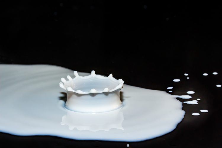 Bakterie kwasu mlekowego wchodzą w skład mikroflory jelitowej człowieka